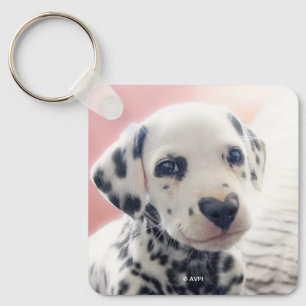 Dalmatian Heart Nose Keychain