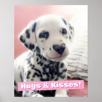 Dalmatian Heart Nose