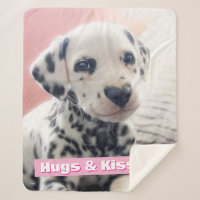 Dalmatian Heart Nose