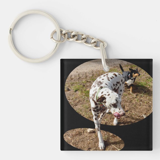 Dalmatian Illusion Window Art, Keychain (Front)