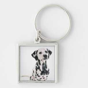 Dalmatian Keychain