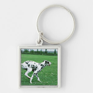 Dalmatian Keychain