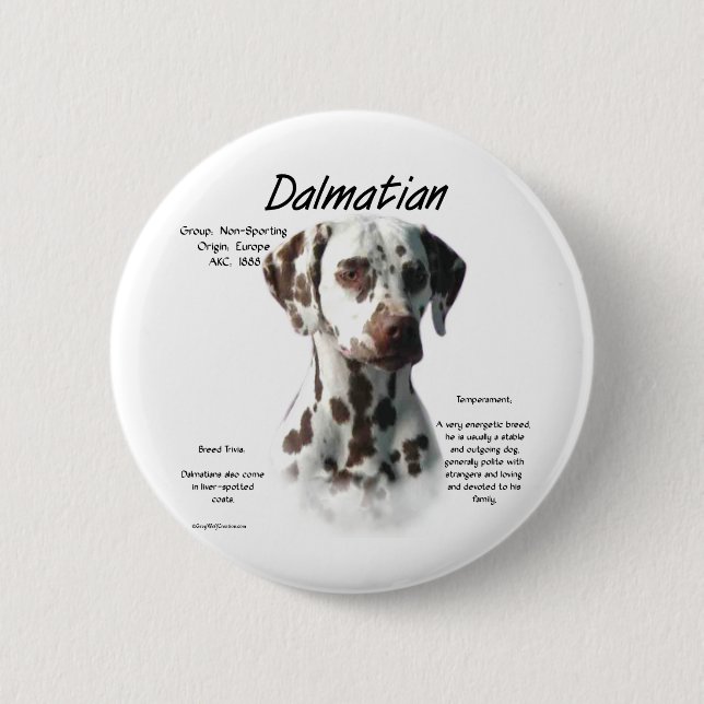 Dalmatian (liver) History Design 2 Inch Round Button (Front)