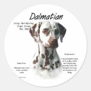 Dalmatian (liver) History Design Classic Round Sticker