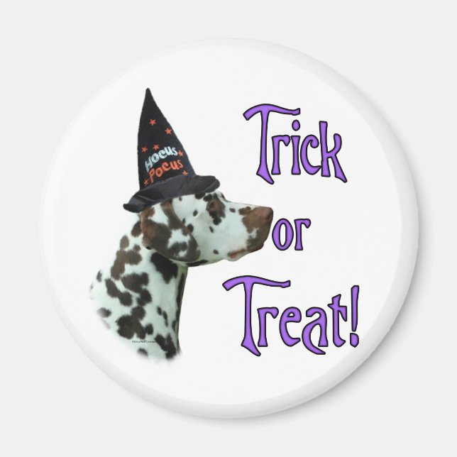 Dalmatian (liver) Trick Magnet (Front)