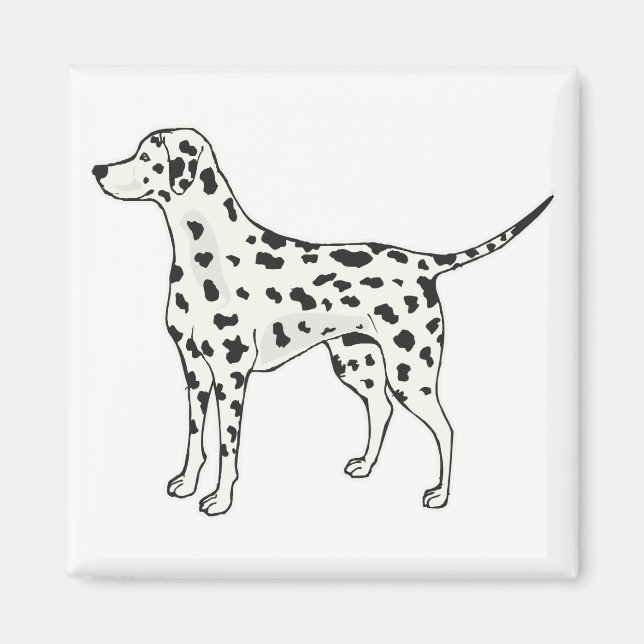 Dalmatian Magnet (Front)