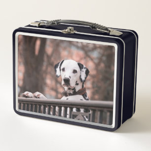 Dalmatian Metal Lunch Box