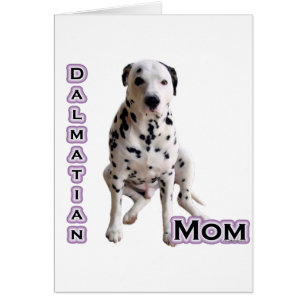 Dalmatian Mom 4