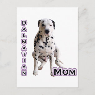 Dalmatian Mom 4 Postcard