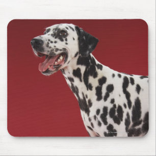 Dalmatian Mouse Pad