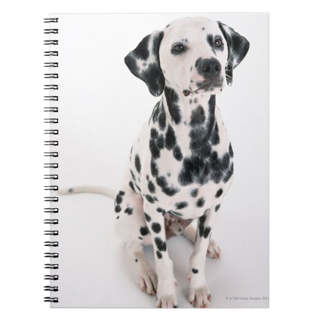 Dalmatian Notebook (Front)