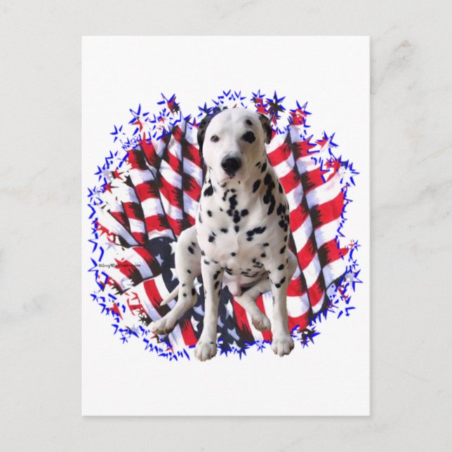 Dalmatian Patriot Postcard (Front)