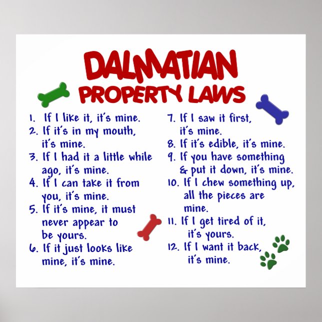 DALMATIAN PL2 POSTER (Front)