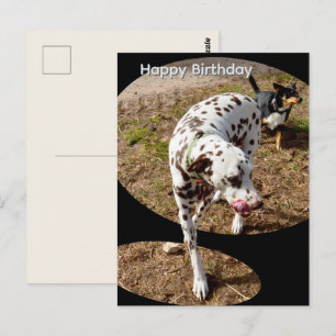 Dalmatian Popout Art, Birthday Postcard