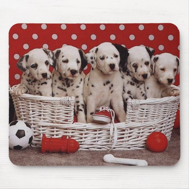Dalmatian Puppies in a Basket Mousepad (Front)