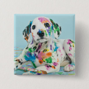 Dalmatian Puppy 2 Inch Square Button