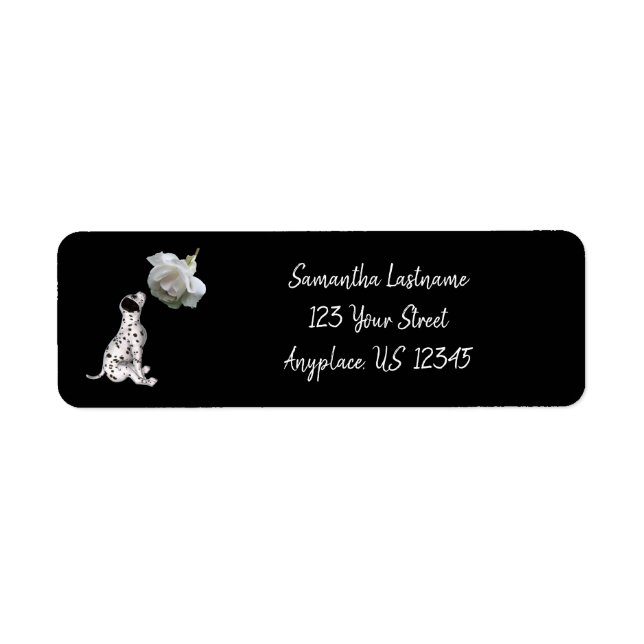 Dalmatian Puppy And White Rose Address (Front)