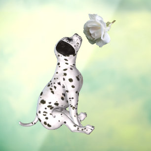 Dalmatian Puppy And White Rose  Window Cling