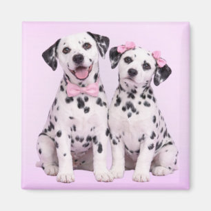 Dalmatian Puppy Love – Valentine Dog Couple Magnet