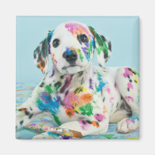 Dalmatian Puppy Magnet