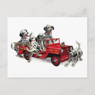 Dalmatian Pups with Fire Truck Postcard