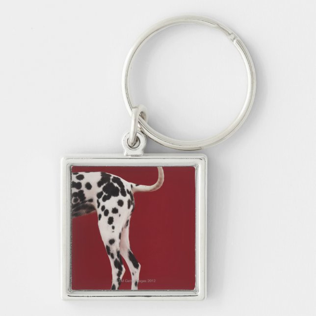 Dalmatian Rear Keychain (Front)
