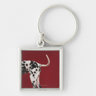 Dalmatian Rear Keychain