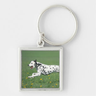 Dalmatian Running Keychain