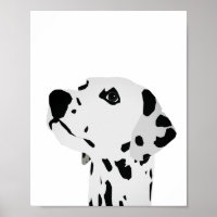 Dalmatian Spots Rule