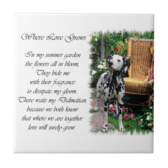 Dalmatian Summer Garden Tile (Front)