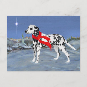 Dalmatian Winter Night Postcard