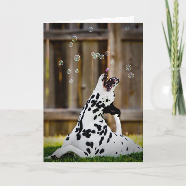 Dalmatian with bubbles card (Front)