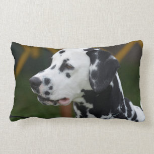 Dalmatian with Spots Lumbar Pillow