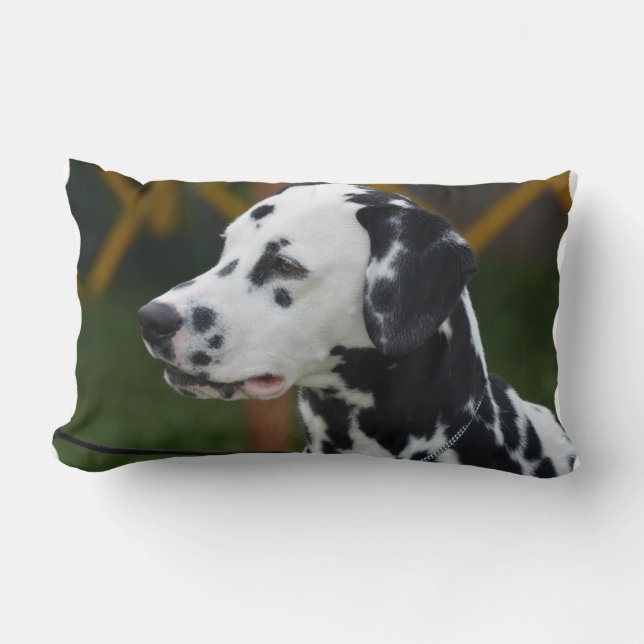 Dalmatian with Spots Lumbar Pillow (Front)