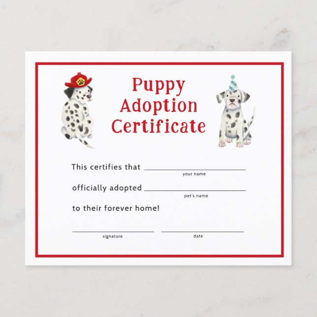 Dalmatians Boy Party Puppy Adoption Certificate (Front)