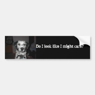 Dalmatians care bumper sticker