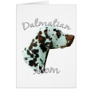 Dalmatien (foie) Maman 2