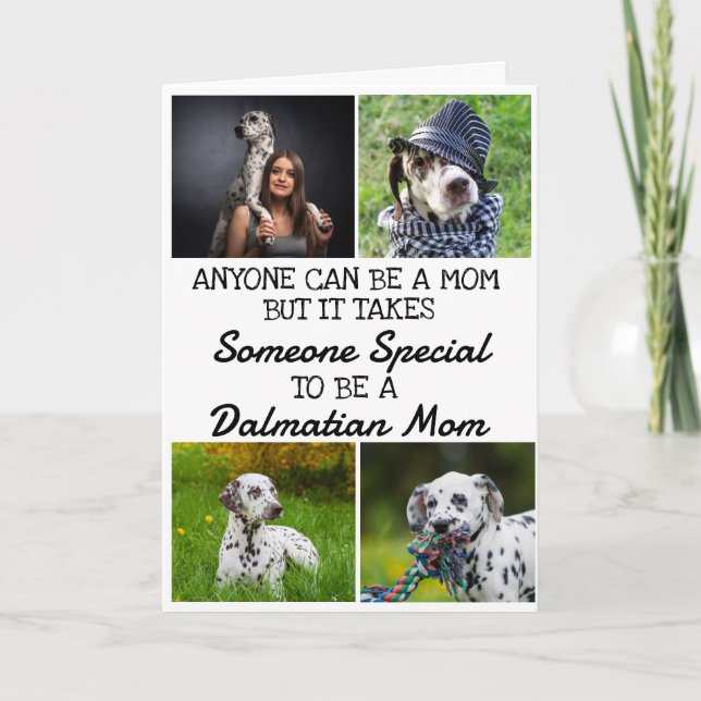 Dalmatien ...Meilleure carte mère (Devant)