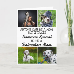 Dalmatien ...Meilleure carte mère