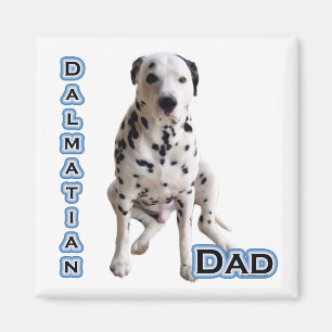 Dalmatien Papa 4 - Aimant