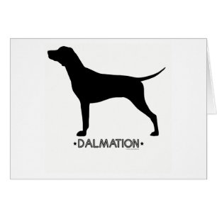 Dalmation Card