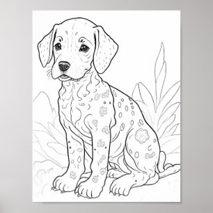 Dalmation Dog Adult Colouring Poster