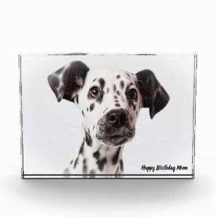 Dalmation Dog. Photo Block