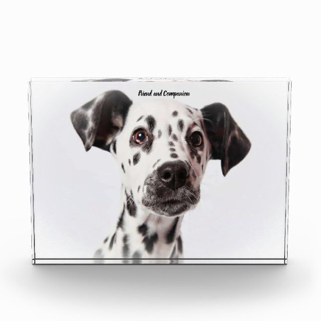 Dalmation Dog. Photo Block (Front)