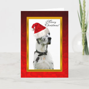 Dalmation Dog Red Christmas Card