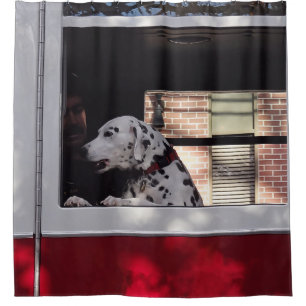 Dalmation In Fire Truck