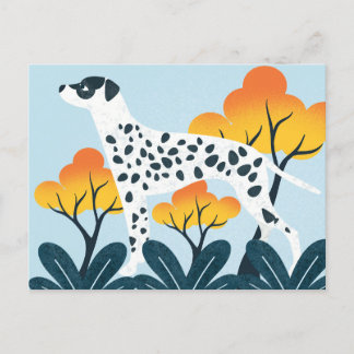 Dalmation Postcard