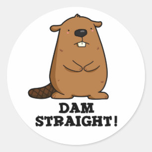 Dam Straight Sassy Beaver Pun Classic Round Sticker