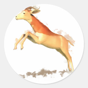 Dama Gazelle Classic Round Sticker