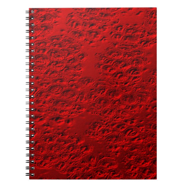 Damaged red metal notebook (Front)